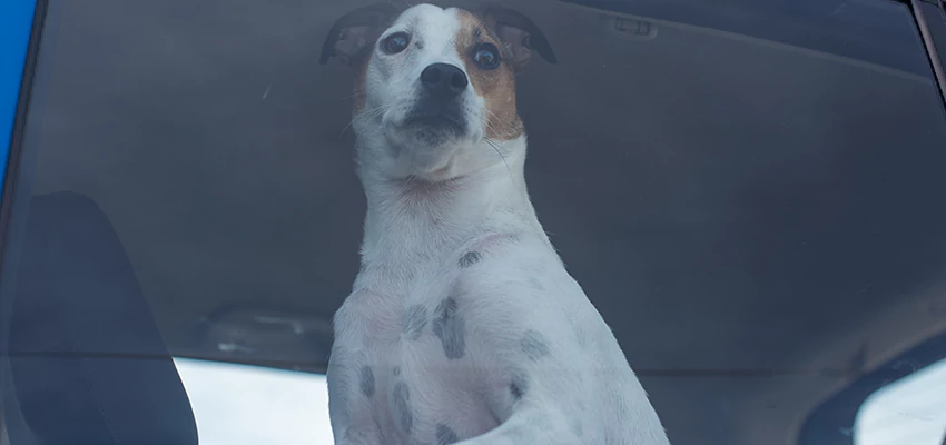 Car Lockout Solutions in La Habra Heights, California